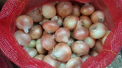 كواليس حرب أهل الشر ضد البصل المصري في الكويت