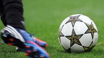 حيوانات تُحكم مباريات كرة القدم.. اليابان تستعين بـ«قرد» لإعطاء إشارة البدء في مباراة الدوري.. «ببغاء» يراقب سير اللاعبين في بريطانيا.. و«الصين» تستعين بباندا في لقاء الت