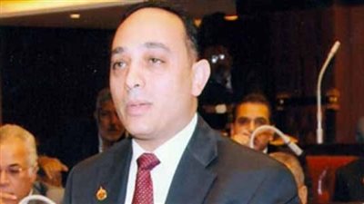 البياضي: الجماعة الإرهابية تحارب الشعب المصري