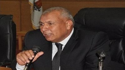 محافظ الوادي الجديد يوافق على تقنين أوضاع الأنشطة التجارية بالأحياء