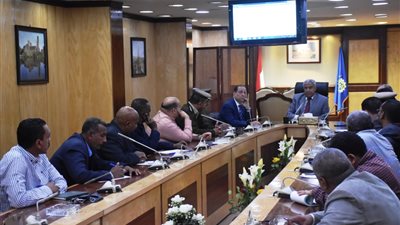 بسبب حنطور.. استبعاد مسئول بالوحدة المحلية في أسوان (صور)