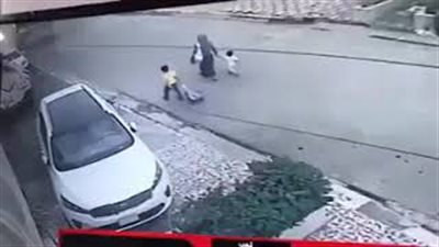 امرأة تتعرض للسرقة بطريقة مروعة أمام أطفالها (فيديو)