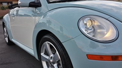 بالصور.. ظهور 