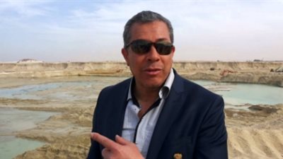 الجالية المصرية بفرنسا: رفضنا لقاء شفيق بعد إعلان ترشحه للرئاسة