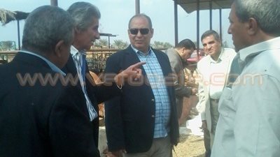 بالصور.. محافظ الشرقية يتفقد محطة تسمين بلبيس