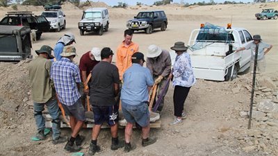 بالصور.. اكتشاف حفرية لحيوان يجمع صفات الأسماك والطيور والزواحف