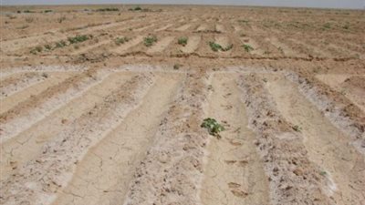 بدء تسليم قطع أراضي المستثمر الصغير بالقاهرة الجديدة