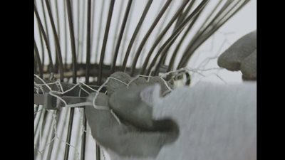 طريقة سهلة لتحويل «مانيكان» لشجرة كريسماس (فيديو)