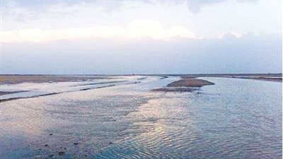 باحثة مصرية تتوصل إلى طريقة لإدارة حوادث تسرب الزيت بنهر النيل