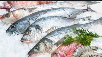 قائمة بأنواع الأسماك والقشريات الخاضعة لتحرير سعر الدولار الجمركي