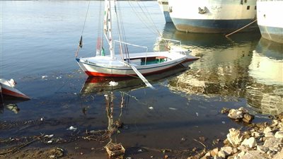 باحثة مصرية تكتشف حل لإزالة بقع الزيت بمياه النيل