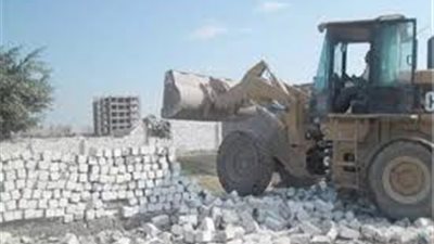 إزالة التعديات على 366 فدانا بالدقهلية