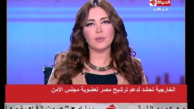 بالفيديو ..عبد العاطى: نتواصل مع العالم لدعم ترشح مصر لمجلس الأمن