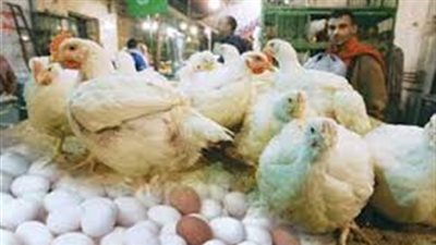 تراجع أسعار الدواجن اليوم 3/ 12/ 2018.. والبيضاء بـ24 جنيها