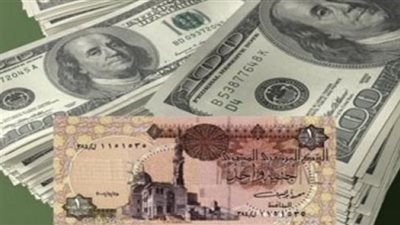 استقرار الدولار أمام الجنيه في مستهل التعاملات.. اليوم