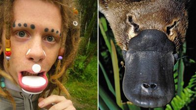 بالفيديو والصور.. شاب يستغرق 7 سنوات ليتحول لـ «خلد الماء»