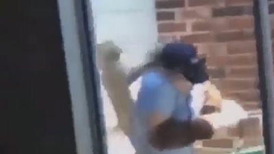 قطة شرسة تلقن صاحبتها «علقة ساخنة» (فيديو)