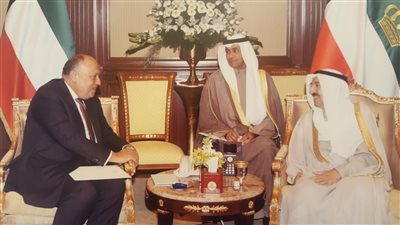 وزير الخارجية يلتقي أمير الكويت