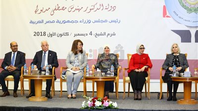 زايد: مصر اتخذت خطوات جادة لتحقيق ثورة صحية تتفق مع أهداف 2030