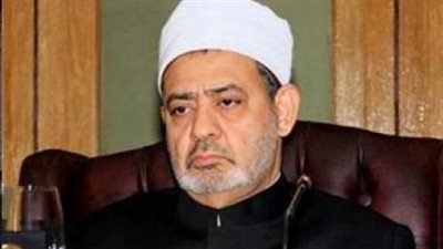 أحمد الطيب: دور الأزهر كان ولا يزال وطنيا وليس له شأن بالسياسة