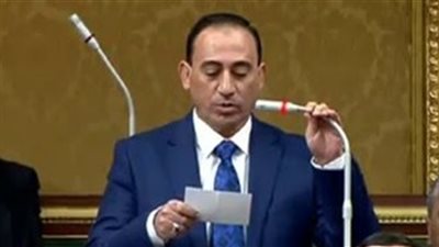 طلب إحاطة حول إجراءات الحكومة لحماية فرع رشيد من التعديات