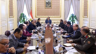 مدبولي: تشكيل لجنة لحل مشكلات المستثمرين بمطروح خلال ٣ أشهر