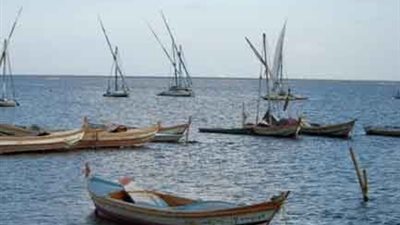 بحيرة البرلس في قبضة أباطرة الأراضي (مستندات)