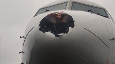 طائر يتسبب في ثقب مقدمة طائرة (صور)