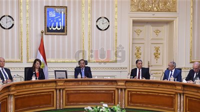 الحكومة: رفع كفاءة المنازل بالروضة وتحسين شبكة الكهرباء