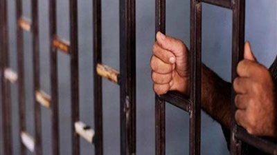 حبس جزار عامين في واقعة «قتل كلب الدقي»