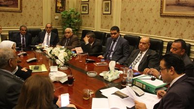 حقوق الإنسان بالبرلمان تناقش أوضاع المصريين بالسجون في الخارج