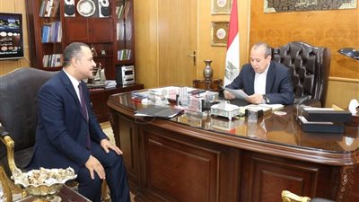 تفاصيل انطلاق مبادرة لتسويق الأثاث الدمياطي إلكترونيا