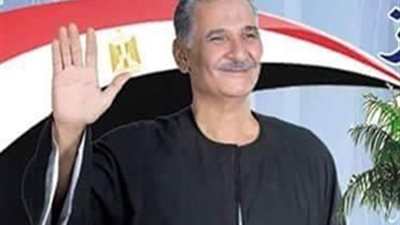 نائب عن بنى سويف يشيد بورش تدريب النواب الجدد