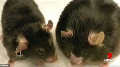 الحلم يقترب.. العلماء يكتشفون الحل السحري لإيقاف زيادة الوزن (صور)