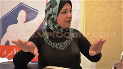 نائبة برلمانية: «النور» لن يجد سوى «الإرهابية» لدعمه في الانتخابات