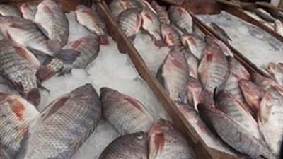أسعار الأسماك اليوم 6/ 12/ 2018.. والبلطي يسجل 23 جنيها