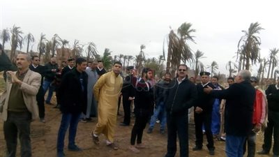 إزالة تعد على مساحة 18 فدانا بأرض زراعية في المرج (صور)