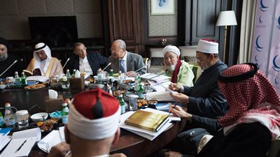 «نعيم» يطالب مجلس حكماء المسلمين بالتخلص من الإرهاب في الصومال