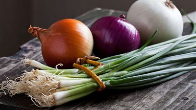 صفاء في أغرب دعوى خلع: «جوزي بياكل بصل وريحته مقرفة»