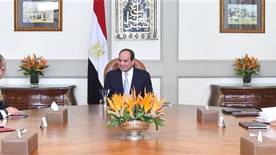 السيسي يبحث مع رئيس «سيسكو» الأمريكية زيادة استثماراتها بمصر
