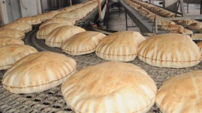 الحكومة تتجه إلى الشعير لإنتاج «الرغيف المخلوط»