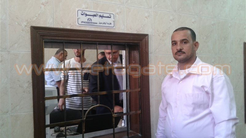 فيتو