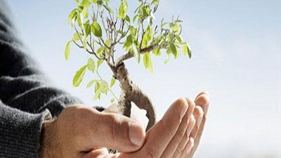 في ٥ خطوات.. طريقة تحديد قيمة مبلغ التأمين الذي تحتاجه