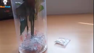 8 استخدامات غير متوقعة لأكياس السيليكا جيل (فيديو)