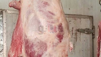 ضبط كمية من اللحوم غير صالحة للاستخدام الآدمي بالشرقية
