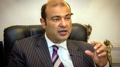 خالد حنفي يطالب بتوطين بعض الصناعات الفرنسية في مصر