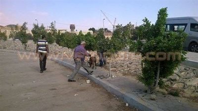 مدير أمن القاهرة يزور مصابي انفجار جامعة حلوان