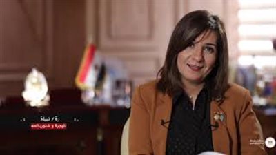 مقترحات لتغيير فئات المصريين بالخارج الخاضعة للتأمين الاجتماعي (فيديو)