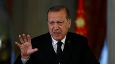 خبير إستراتيجي: تصريح أردوغان عن نقل إرهابيين من سوريا إلى مصر «قلة أدب»