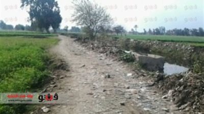 بالفيديو والصور.. تعدي الفلاحين على الطريق العام بالشرقية